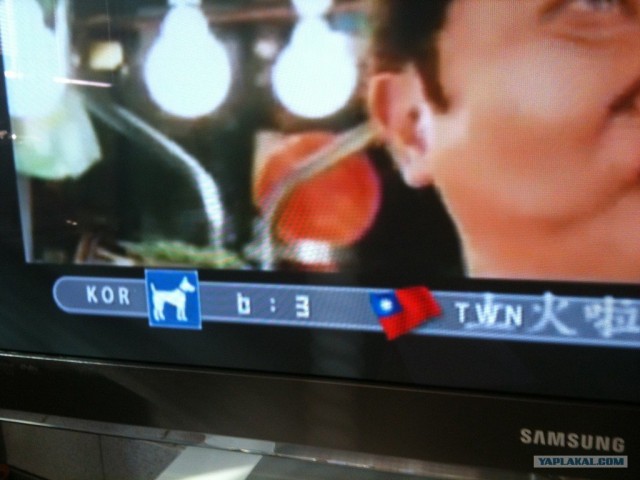 Вместо флага Кореи, по ТВ показали собачку!