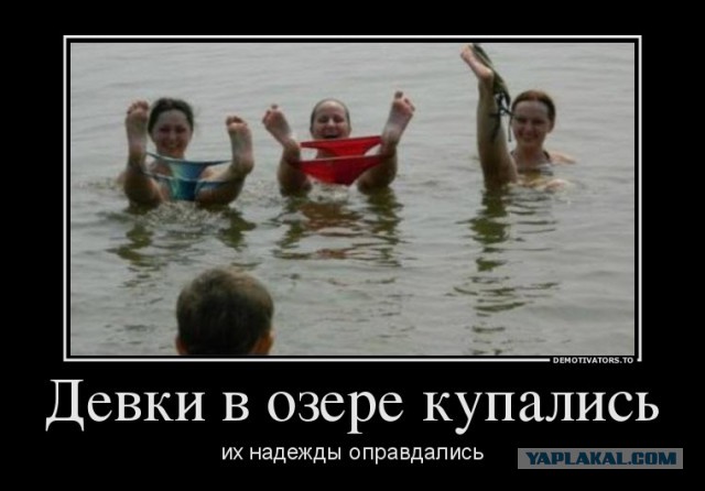 Добряки, плюсующие всех подряд