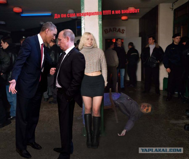 Одна жаба