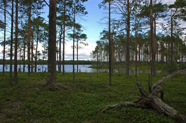 Деревенская Америка