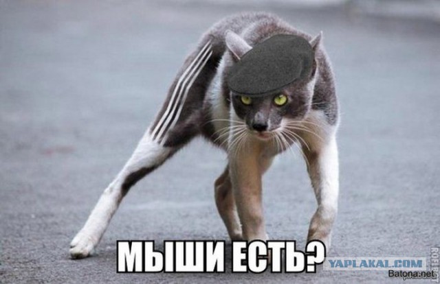 - За что?! - Было б "за что" - вообще убил бы!