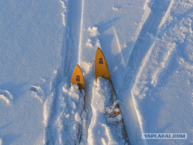 Немного моих фото, авторское