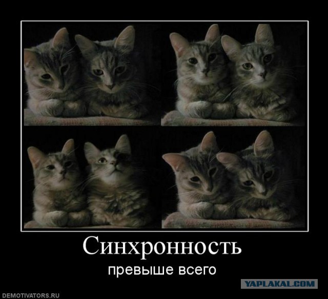 Синхронность 80 lv