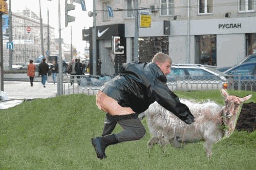 Фотожаба: гоп-стоп