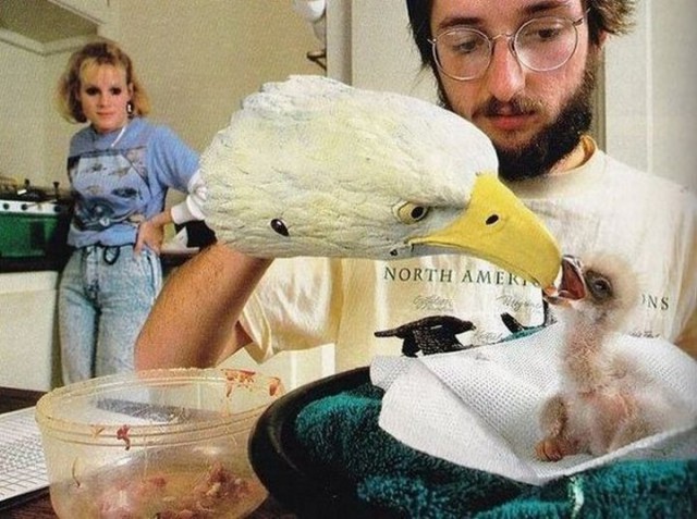 Подборка картинок