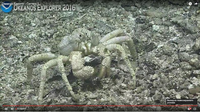 Началась онлайн-трансляция происходящего в самом глубоком месте Земли