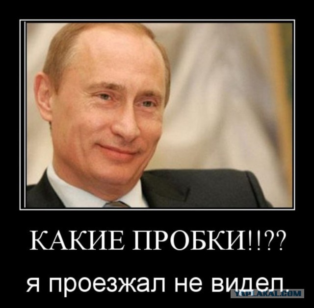 ВВП приехал в Волгоград, заберите его уже скорей