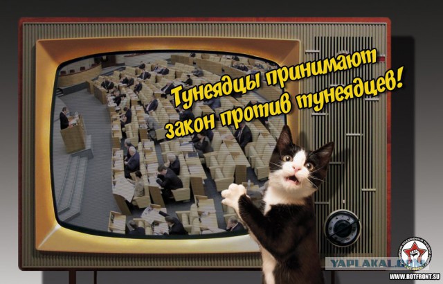 А давайте я Вам расскажу что такое тунеядец