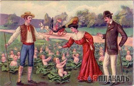 Процесс огородного рождения.