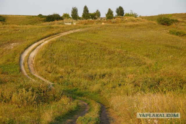 В шаговой доступности...