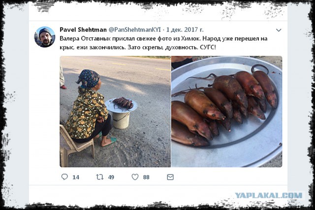 Лютый бред!