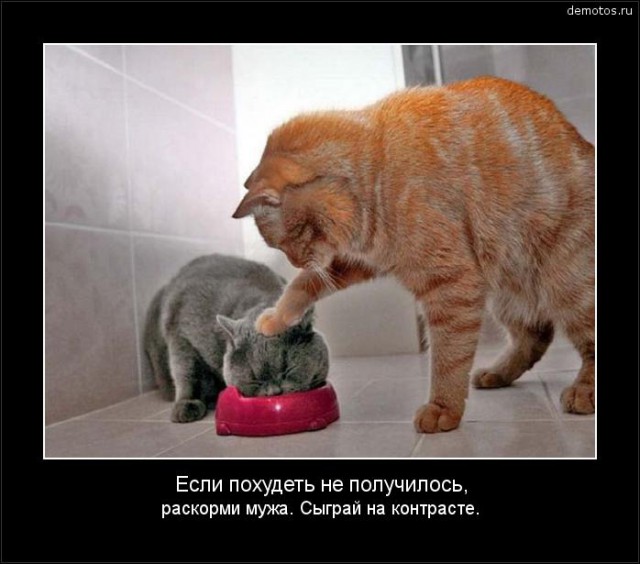 28 фотографий, в которых вся суть борьбы с лишними килограммами