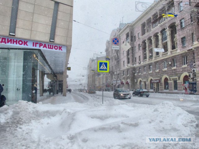 Вот и пришла весна!