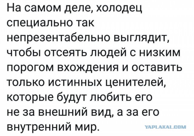 Смешные комментарии из социальных сетей 20.07.2018