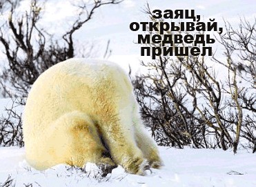 Разминка с утра