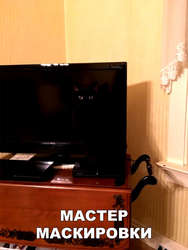 Немного милоты