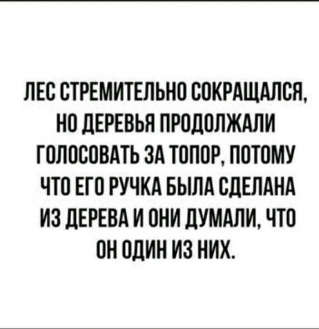 Почему появилось слишком много советов от депутатов как нам жить и что делать?