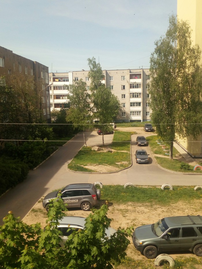 Лето, делимся видом из окна