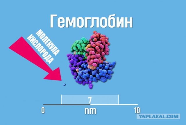 От 1 нанометра и до 1 миллиметра