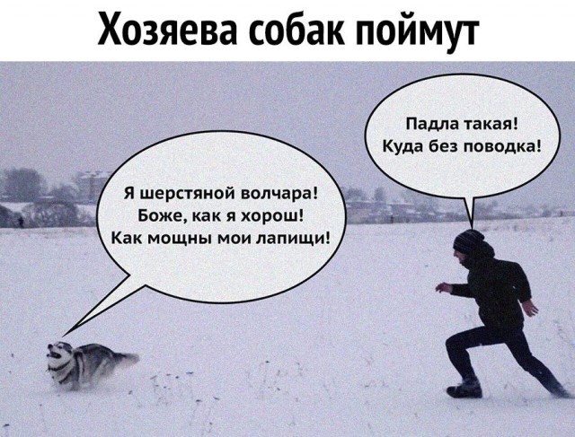 Так себе картинки 13.03.21