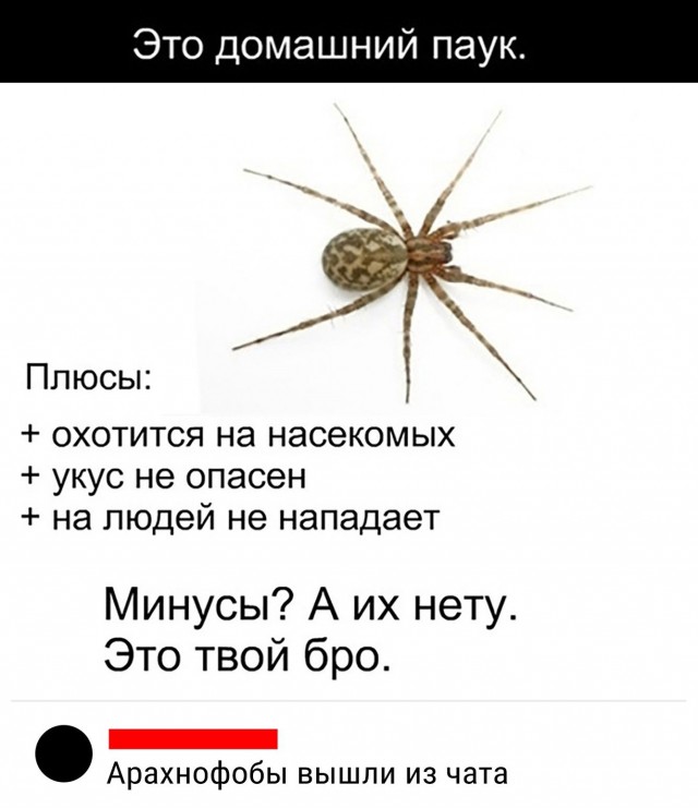 Немного картинок разной степени новизны и адекватности - 5