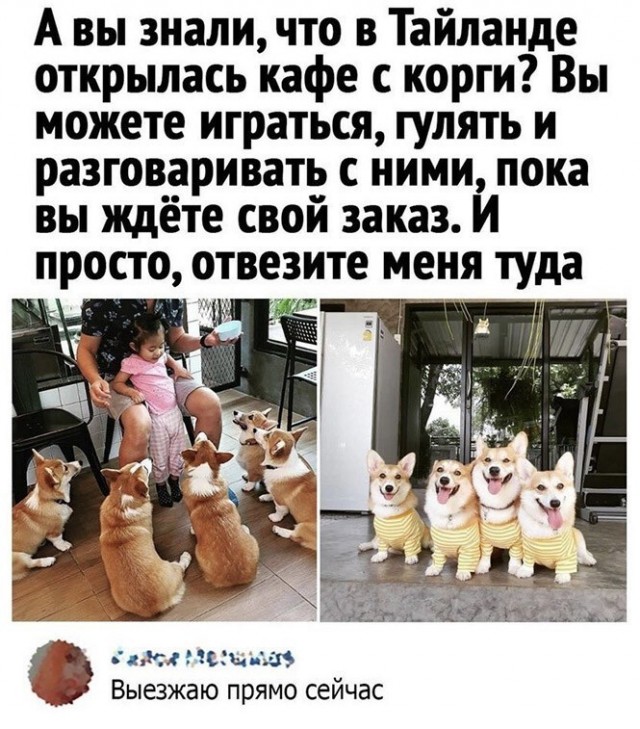 Баянисто-небаянистый юмор 19.07.21