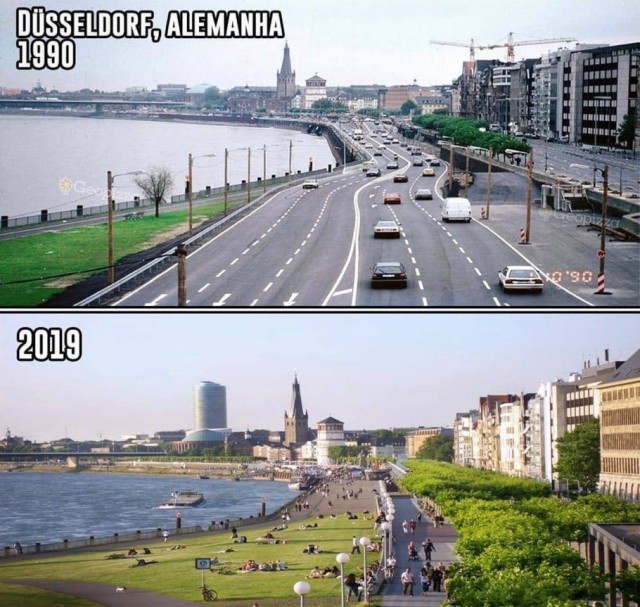 Серая шейка