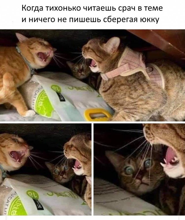 Картинки на пятницу 19.11.21