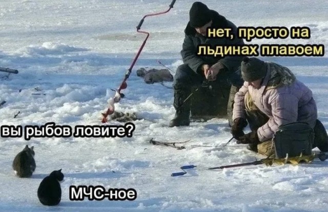 Картинки и мемы, всем прекрасных выходных