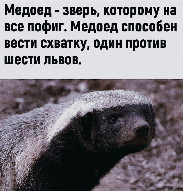 Так себе картинки 01.05.22
