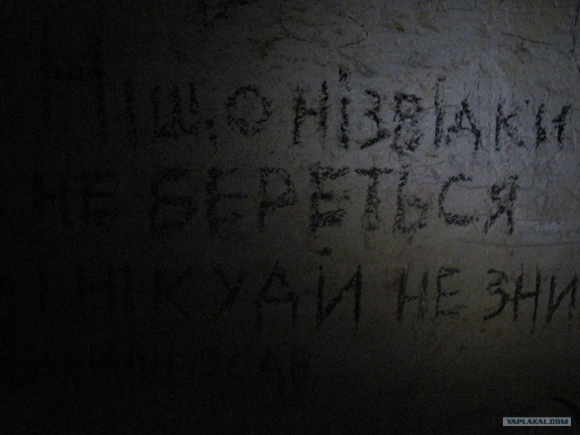 Одесские катакомбы