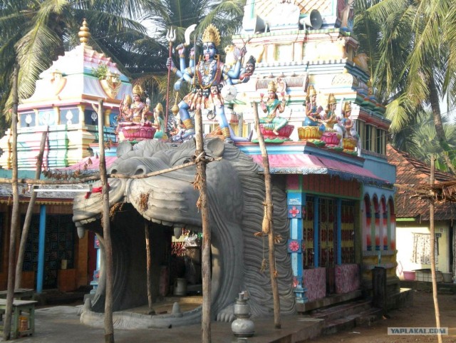 Индия 2007 - 2008 г.