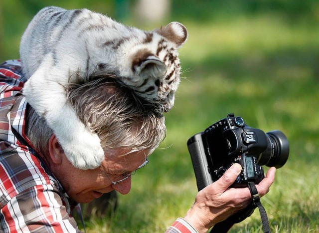 35 фото, которые позволяют взглянуть на знакомые вещи «под другим углом»