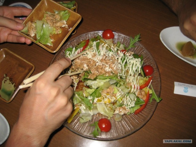 Далёкая Япония