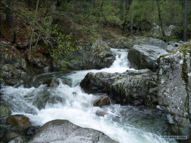 Франция. Корсика.