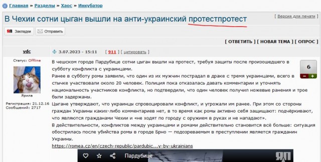 В Чехии сотни цыган вышли на анти-украинский протест