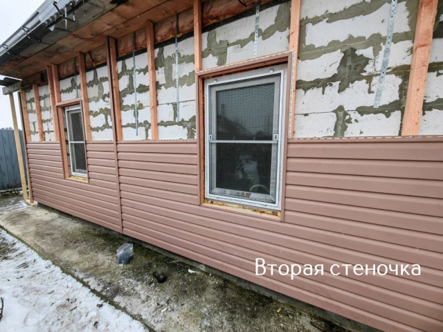 Жизнь домашнего приюта "Котоленд" 418