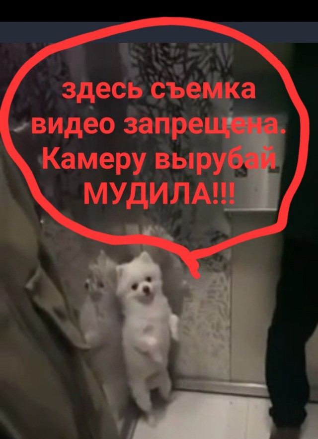 Если что, я вас одной левой!