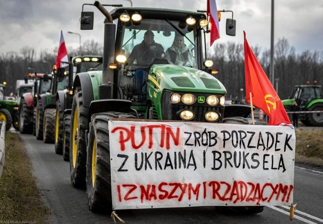 Польские курвы живите на свои.