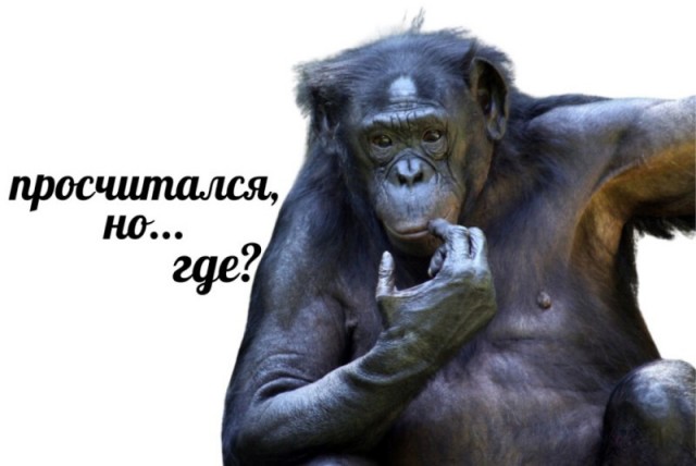 Моё хобби или фотограф Набатчиков Антон