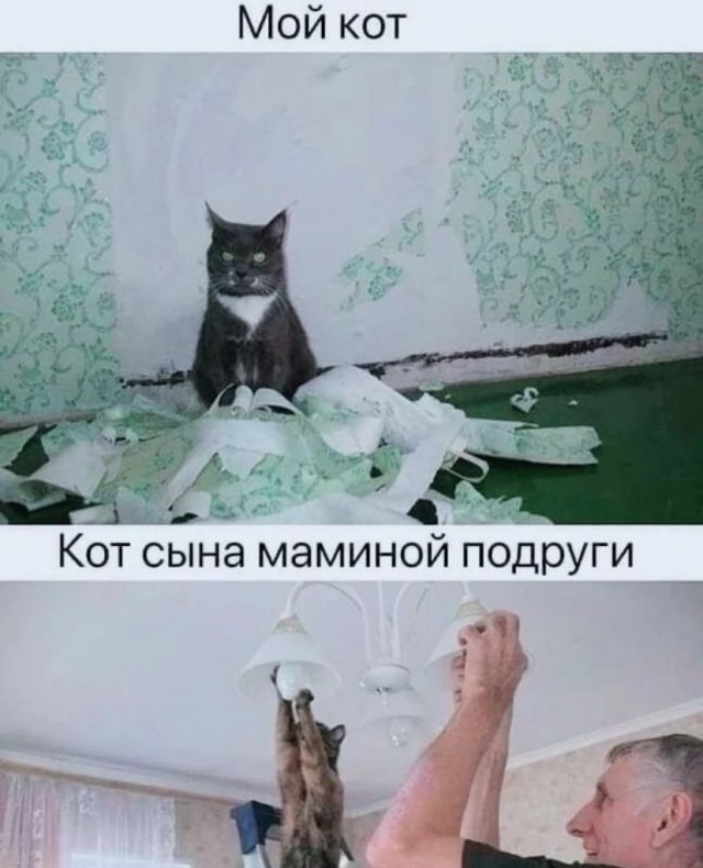Завалялось тут случайно немного забавных картинок