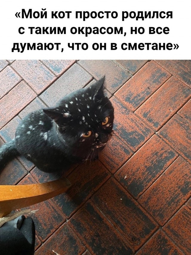 Так себе картинки 22.07.24