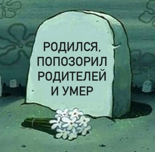 Так себе картинки 01.10.24