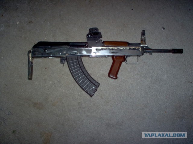 "Калаш" булл-пап