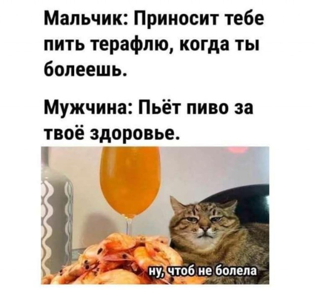 К котовторнику: подборка картинок-баянов с котиками и про котиков. Выпуск 2.
