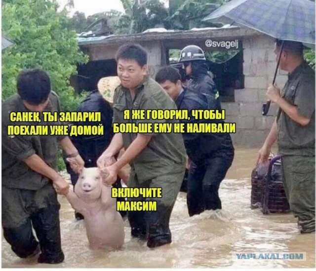 Это точно Санек?