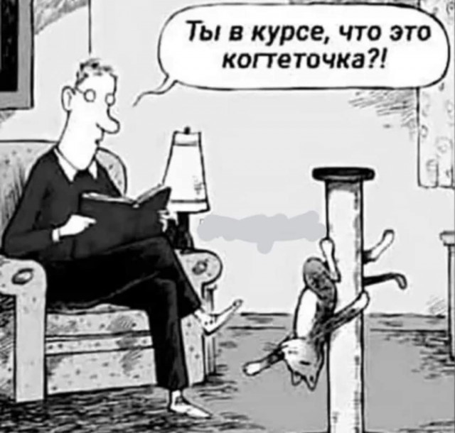 Маленькая пятница 16.07