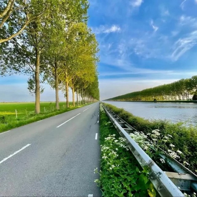 Веселое настроение в картинках (18.07.2025)