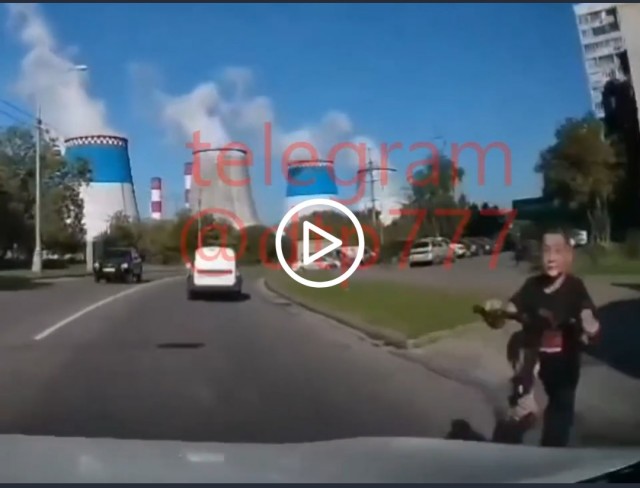 Мозгов нету, дура полная