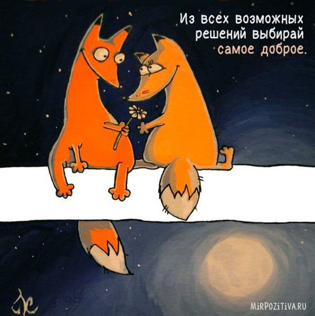 Прикольные и просто красивые картинки 21.10.2025